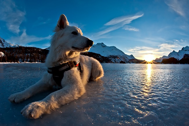 graubunden-winter